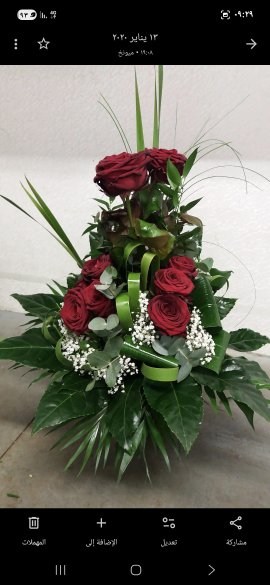 Rosenherz rot